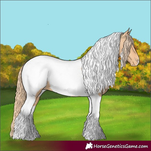 Horse Color:Gold Champagne Tobiano Appaloosa