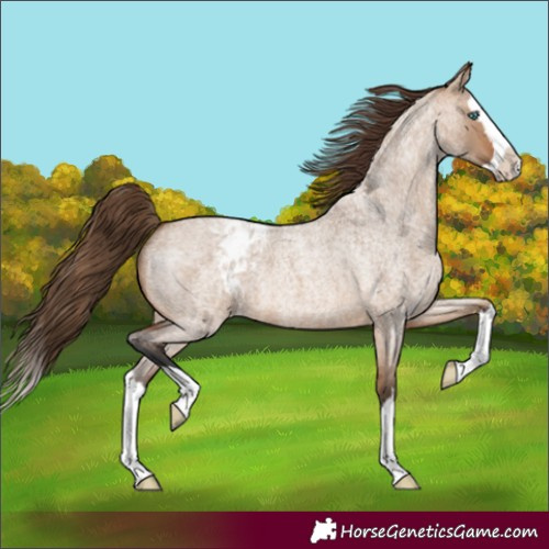 Horse Color:Bay Roan Dun Splash Varnish
