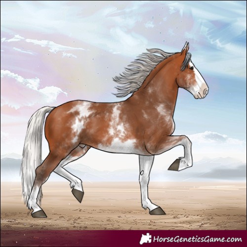 Horse Color:White Spotted Silver Bay Splash 