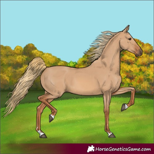 Horse Color:Red Dun