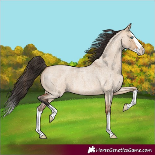Horse Color:Bay Roan Dun Splash