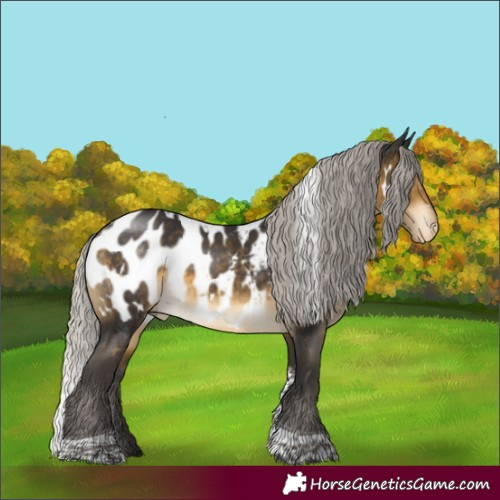 Horse Color:White Spotted Silver Buckskin Tobiano Near Leopard