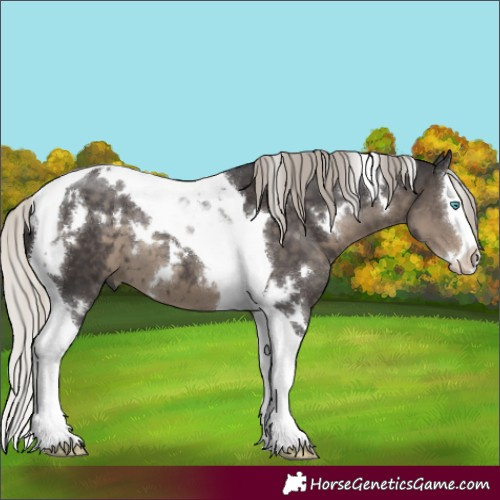 Horse Color:White Spotted Silver Smoky Black Splash Tobiano 