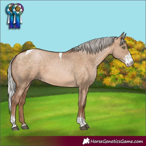 Horse Color:Silver Brown Pearl Dun Sabino Tobiano