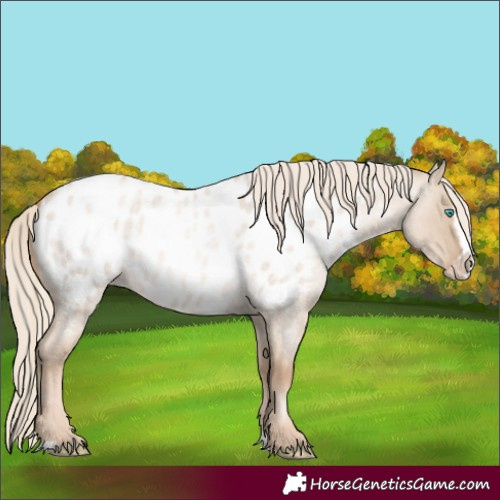 Horse Color:Chocolate Palomino Roan Pearl Dun Splash Frame Appaloosa Rabicano