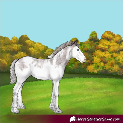 Horse Color:White Spotted Chocolate Silver Brown Roan Splash 