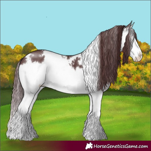Horse Color:White Spotted Chocolate Brown Splash
