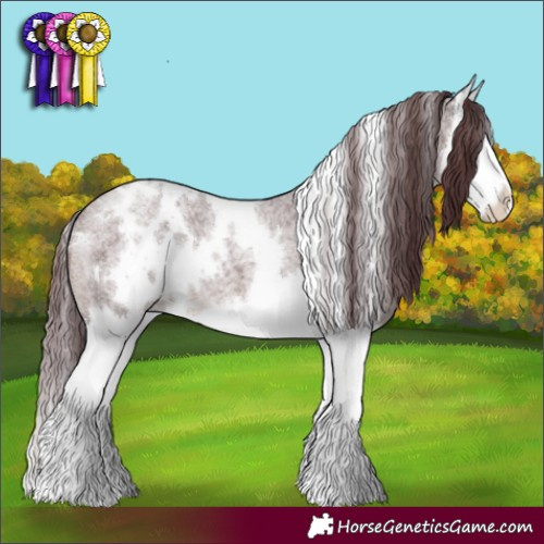 Horse Color:White Spotted Chocolate Brown Roan Splash 