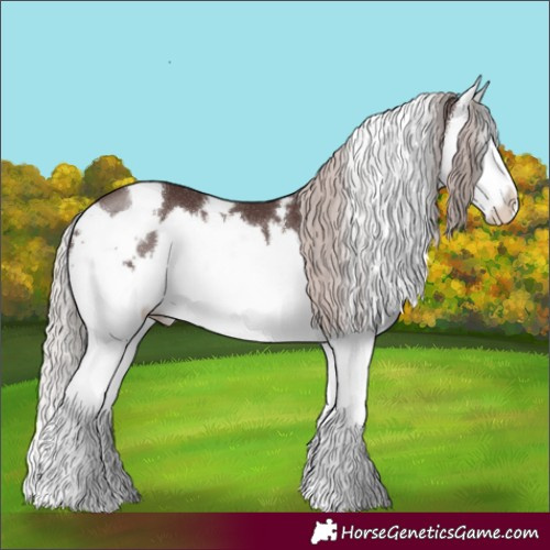 Horse Color:White Spotted Chocolate Silver Black Splash