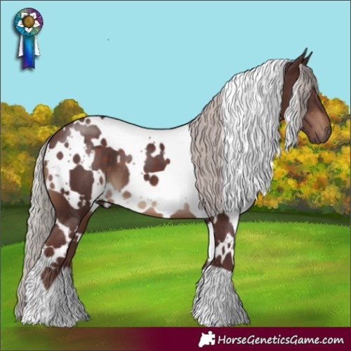 Horse Color:White Spotted Chocolate Silver Brown