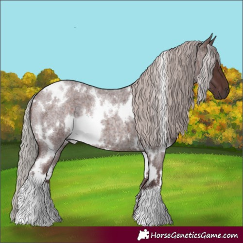 Horse Color:White Spotted Chocolate Silver Brown Roan