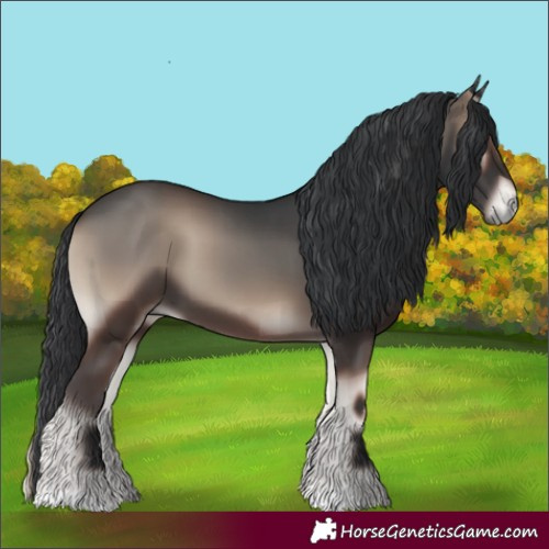 Horse Color:Blue Onyx