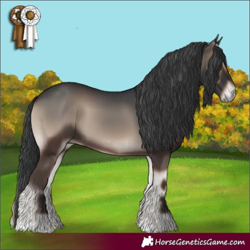 Horse Color:Blue Onyx