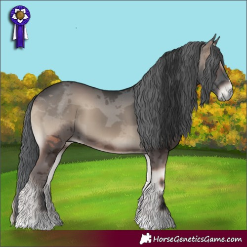 Horse Color:Blue Onyx Merle 