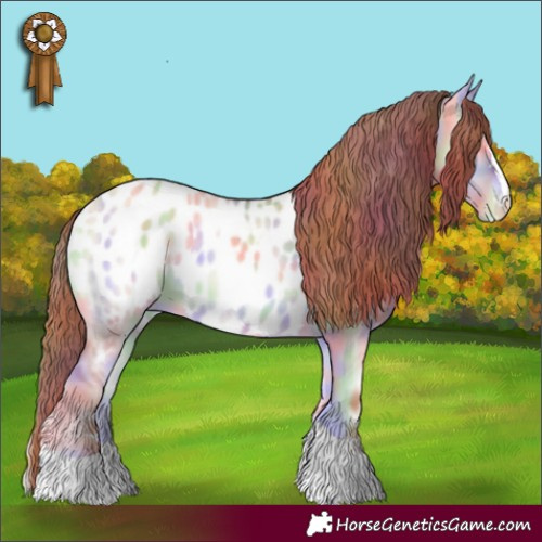 Horse Color:Nacre Gold Champagne Onyx Appaloosa