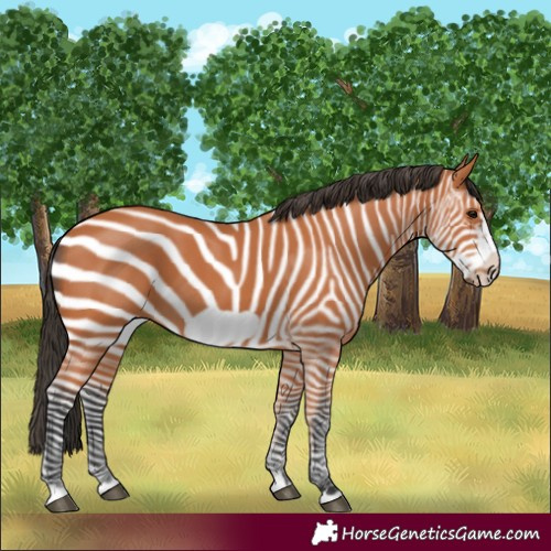 Horse Color:Bay Frame
