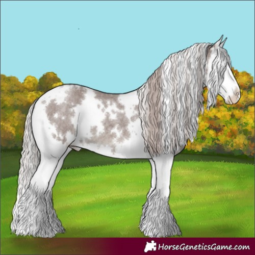 Horse Color:White Spotted Chocolate Silver Blue Roan Splash