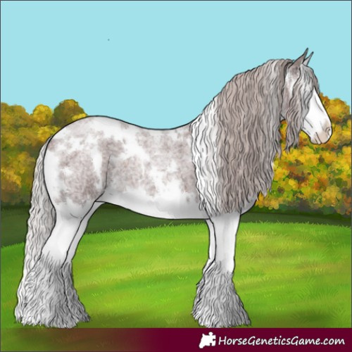 Horse Color:White Spotted Chocolate Silver Brown Roan Splash