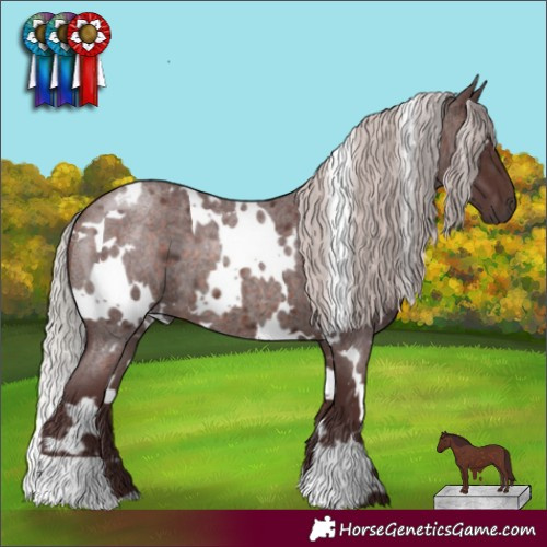 Horse Color:White Spotted Chocolate Silver Brown Roan