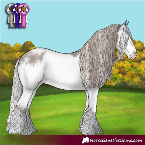 Horse Color:White Spotted Chocolate Silver Blue Roan Splash