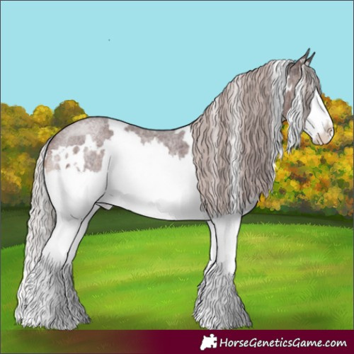 Horse Color:White Spotted Chocolate Silver Brown Roan Splash 