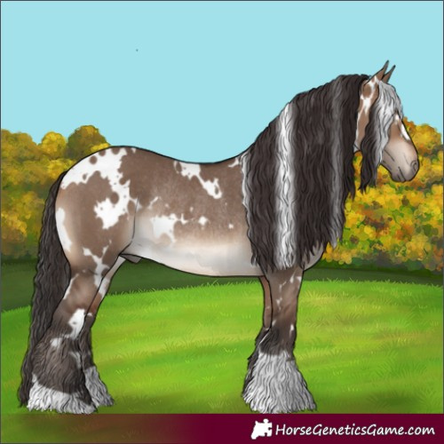 Horse Color:White Spotted Brown Dun Rabicano