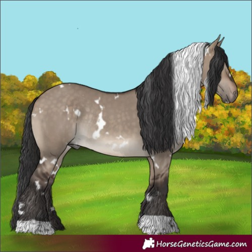 Horse Color:White Spotted Brown Dun Rabicano 