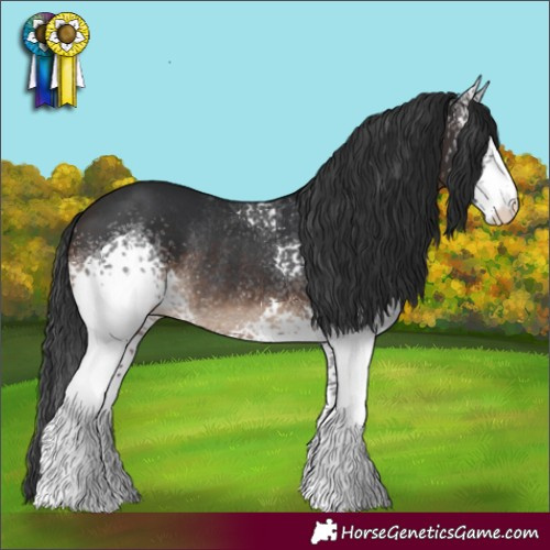 Horse Color:White Spotted Brown Rabicano 