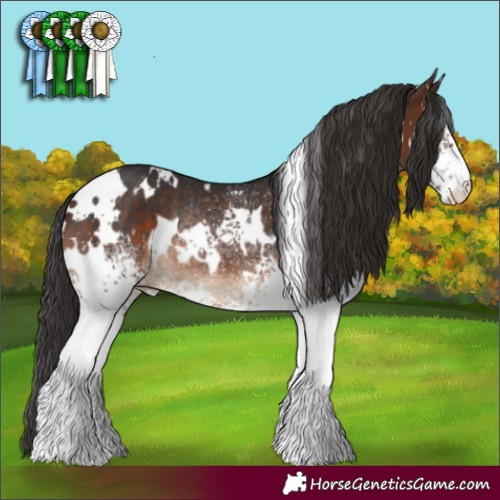 Horse Color:White Spotted Brown Appaloosa Rabicano