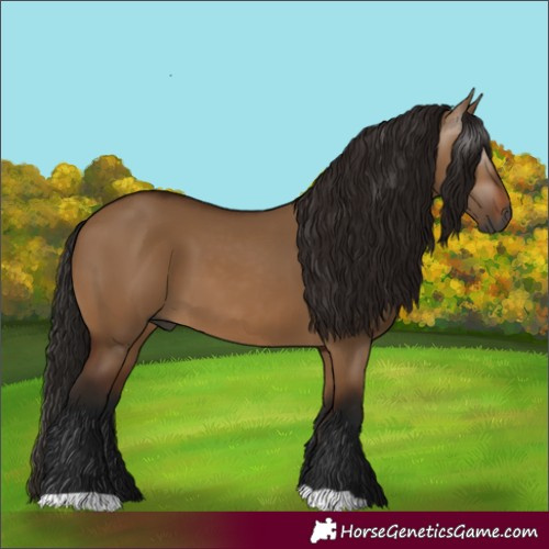 Horse Color:Gray Bay Dun 