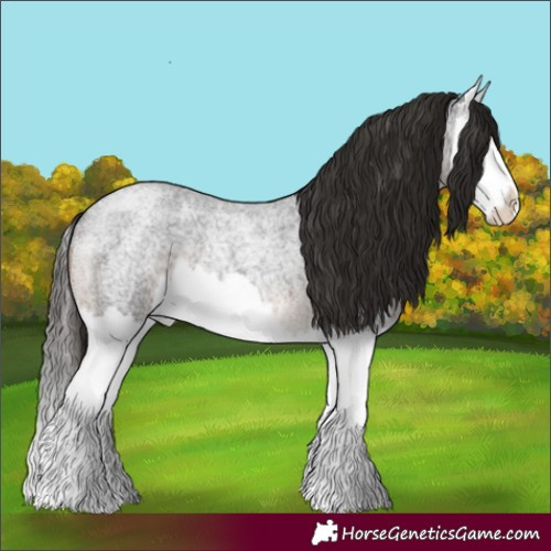 Horse Color:Liver Red Roan Splash 