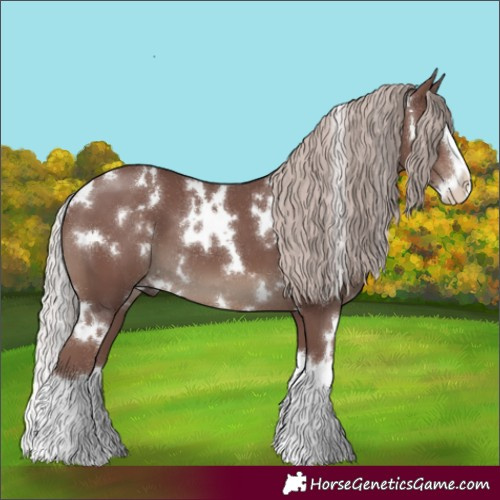 Horse Color:White Spotted Chocolate Silver Black Splash