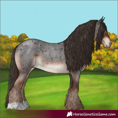 Horse Color:Liver Red Roan