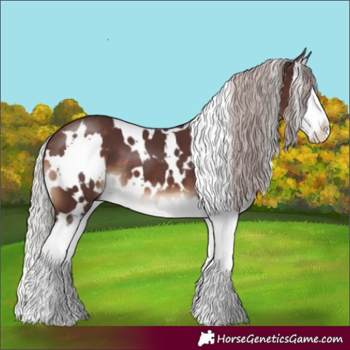 Horse Color:White Spotted Chocolate Silver Brown Splash 