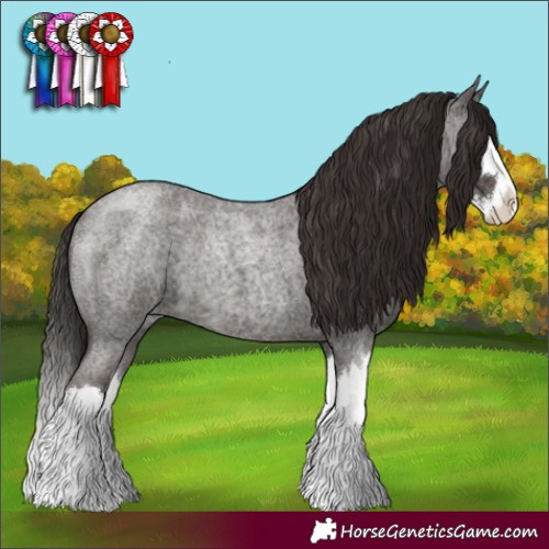 Horse Color:Liver Red Roan Splash