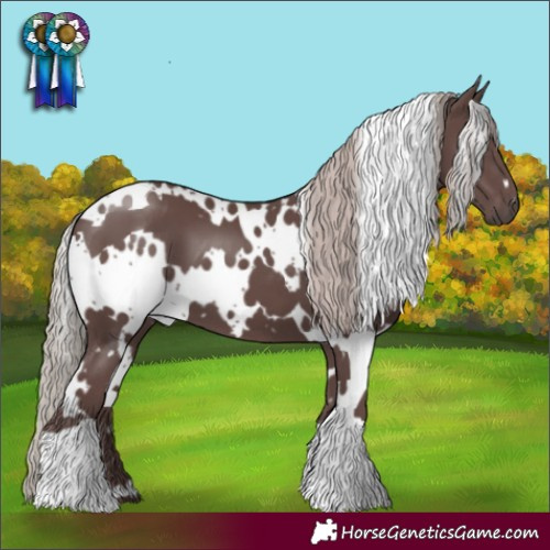Horse Color:White Spotted Chocolate Silver Black