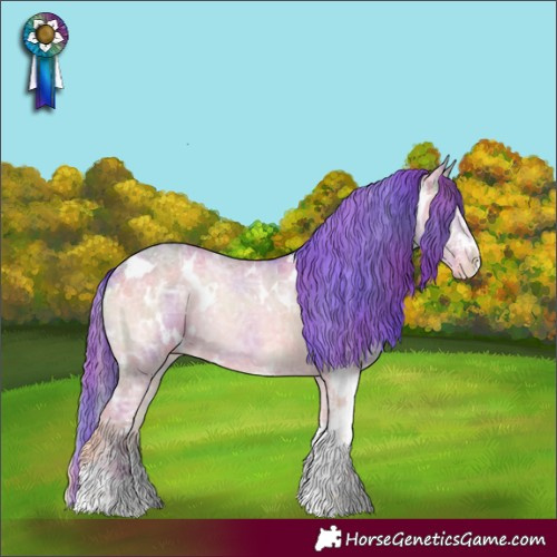 Horse Color:Nacre Watercolor White Spotted Classic Champagne Ice Onyx Sabino Appaloosa