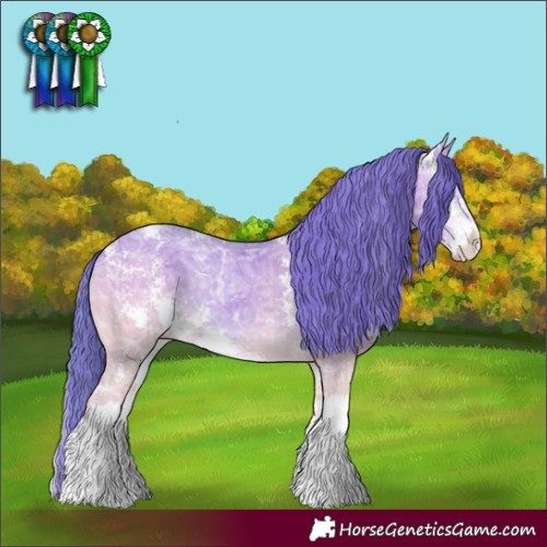 Horse Color:Watercolor Amber Cream Champagne Ice Onyx Sabino Appaloosa
