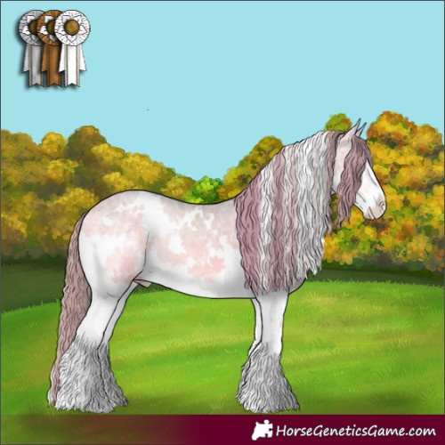 Horse Color:Watercolor White Spotted Buckskin Ice Onyx Splash Appaloosa