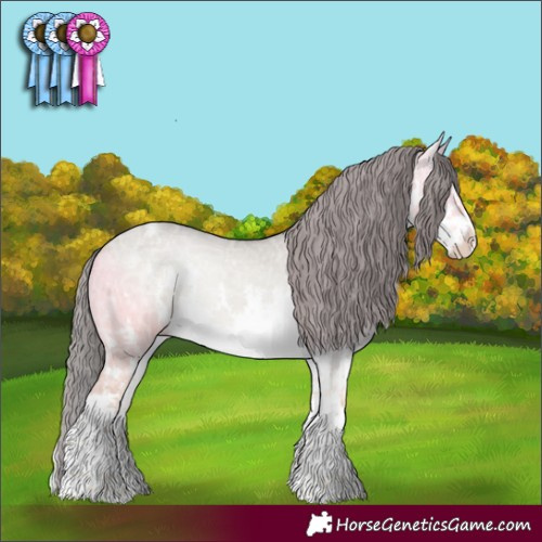 Horse Color:Watercolor White Spotted Buckskin Ice Onyx Appaloosa