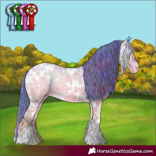 Horse Color:Nacre Watercolor White Spotted Brown Ice Onyx Appaloosa