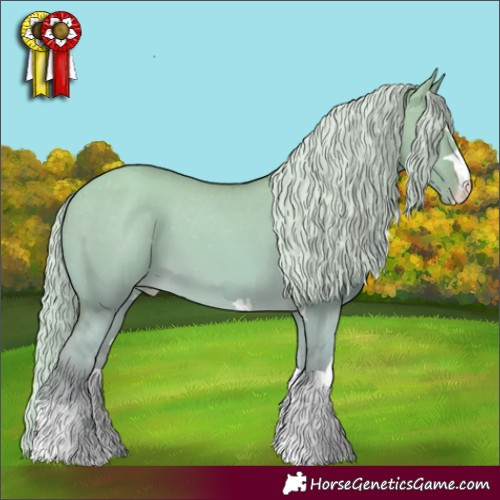 Horse Color:Gold Cream Champagne Dun Appaloosa