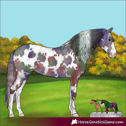 Horse Color:Nacre White Spotted Grullo Appaloosa