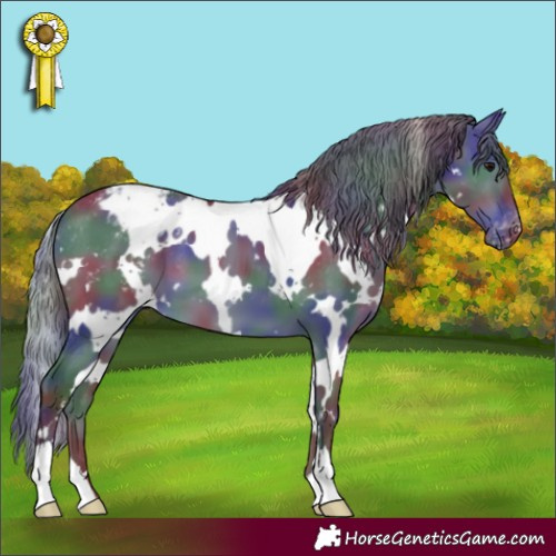 Horse Color:Nacre White Spotted Smoky Grullo Appaloosa 