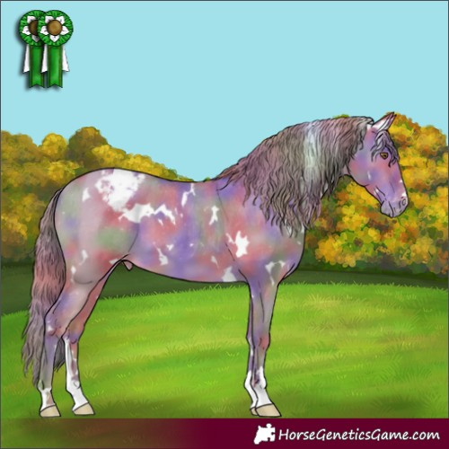 Horse Color:Nacre White Spotted Classic Cream Champagne Dun Appaloosa 