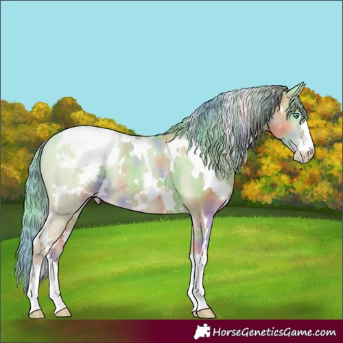 Horse Color:Nacre White Spotted Smoky Creme Dun Appaloosa 