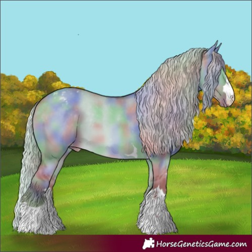 Horse Color:Nacre Chocolate Palomino Dun Appaloosa 