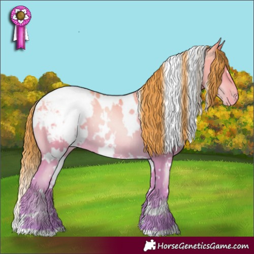 Horse Color:White Spotted Amber Cream Champagne Pearl Dun Appaloosa