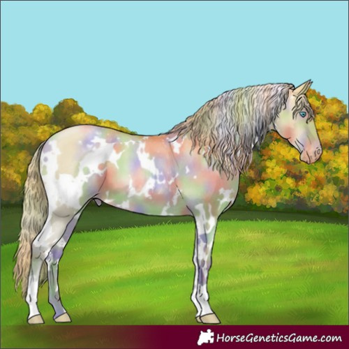 Horse Color:Nacre White Spotted Gold Champagne Pearl Dun Appaloosa