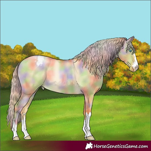 Horse Color:Nacre Palomino Pearl Dun Appaloosa